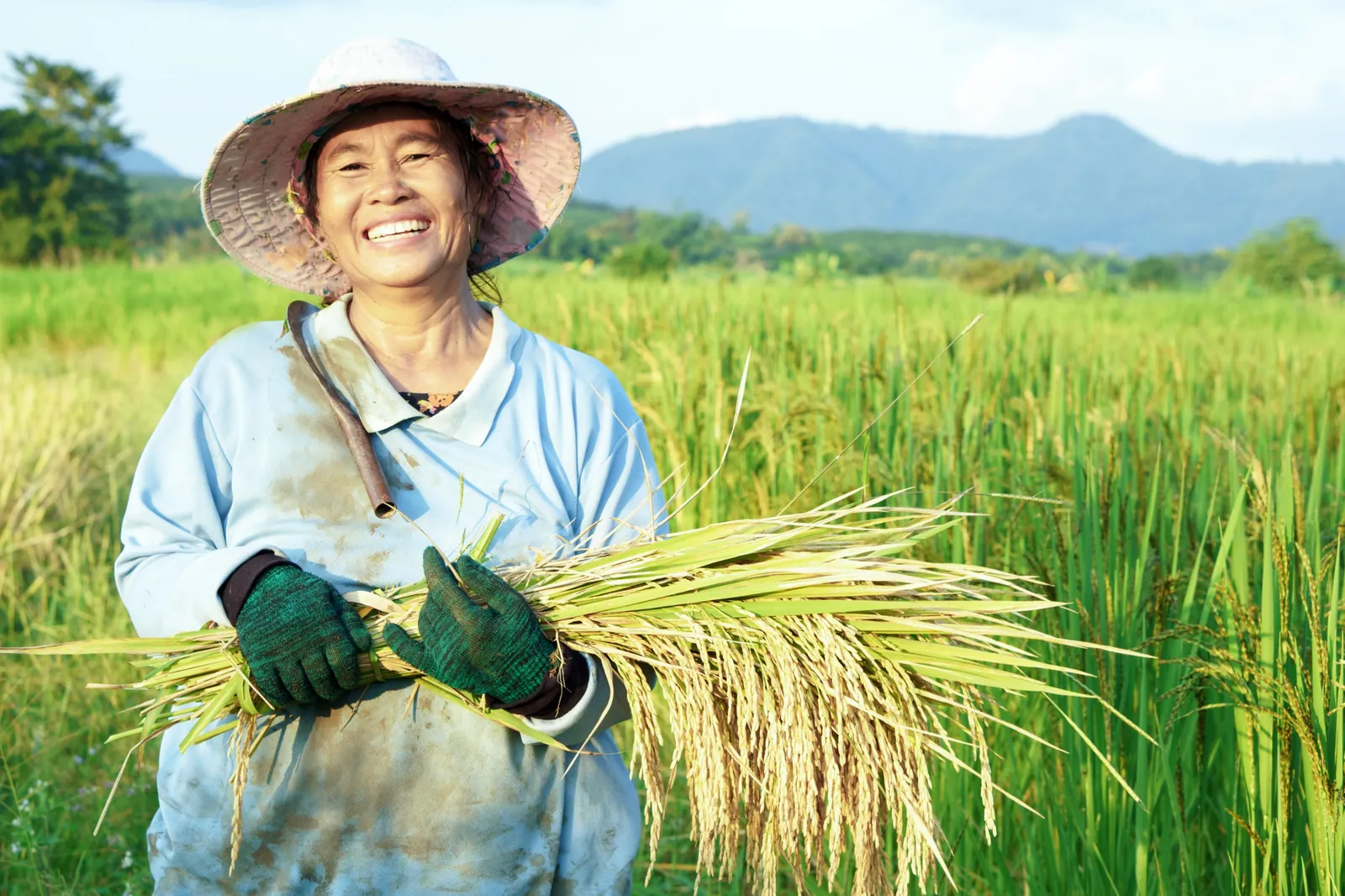 Smiling farmer holding freshly harvested rice